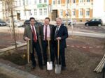 Die Bürgermeister Helmenstein, Rehbaum und Regnault (v.l.n.r.) beim Bäumepflanzen am Gummersbacher Platz